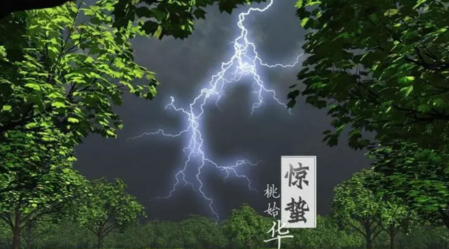 驚蟄時(shí)節(jié)！金環(huán)電器提醒大家的注意事項(xiàng)