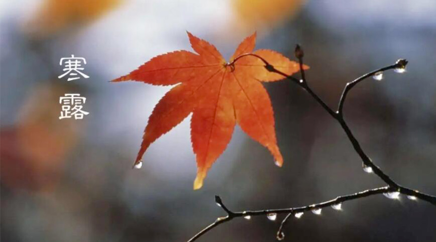 寒露時節(jié)！金環(huán)電器提醒大家要注意的事項