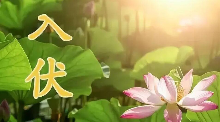 入伏天來襲！金環(huán)電器提醒大家要注意的事項(xiàng)