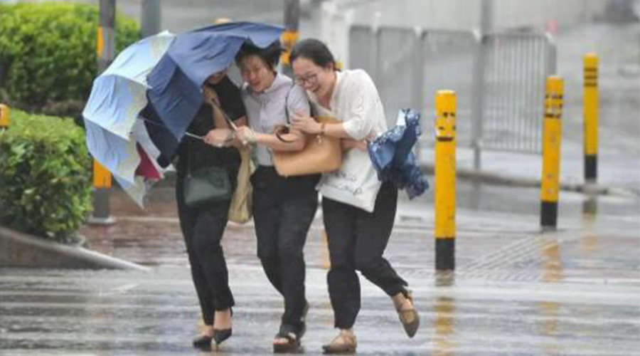 家有衣物烘干機(jī)，無(wú)懼臺(tái)風(fēng)天吹走和淋濕衣物！