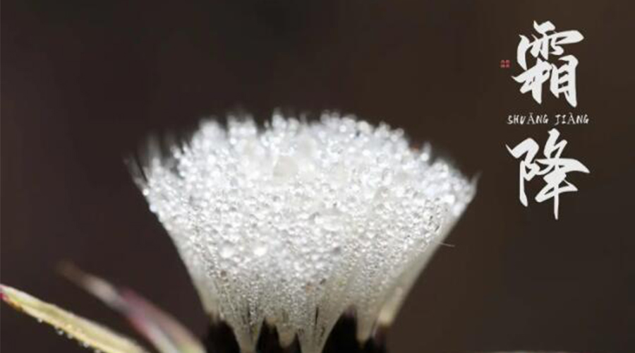 霜降時節(jié)！金環(huán)電器提醒大家要注意的事項