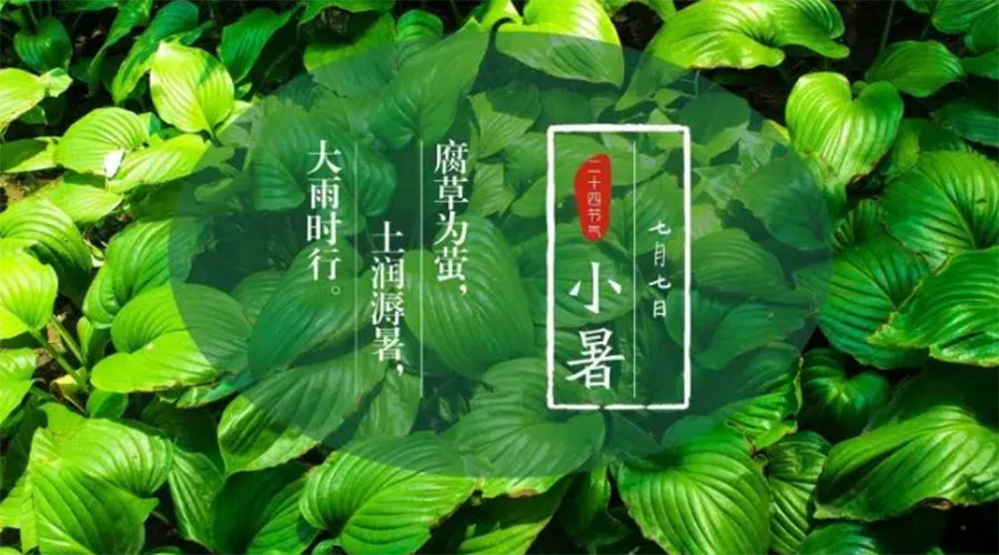 小暑時節(jié)來到！金環(huán)電器提醒大家要注意的事項