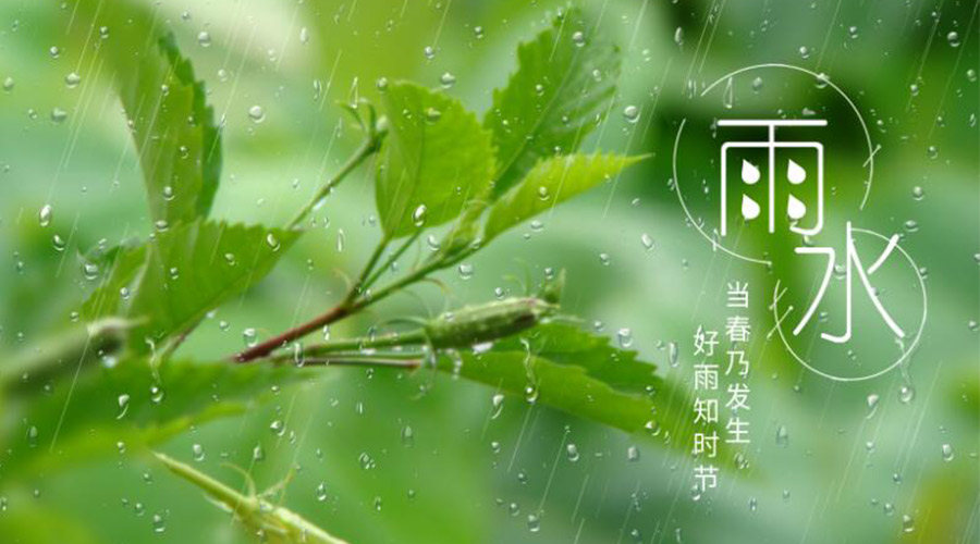 雨水時節(jié)！金環(huán)電器提醒大家要注意的事項