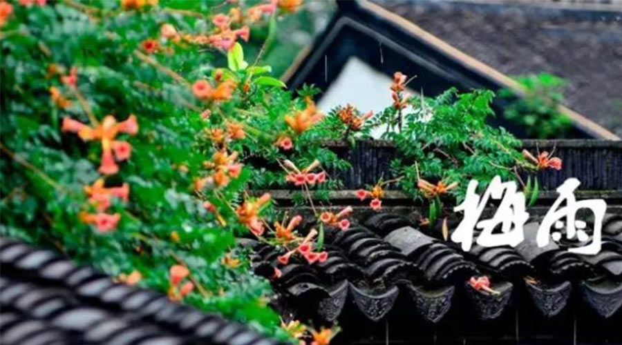 什么是梅雨？梅雨如何形成？  金環(huán)電器告訴你答案